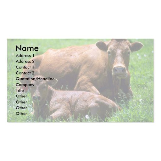 Cow And Calf Business Card (front side)