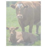 Cow And Calf Letterhead Template