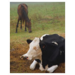 Cow and horse custom flyer