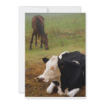 Cow and horse custom invites