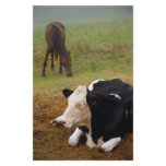 Cow and horse stationery design