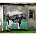 Cow Art #2 Apron apron