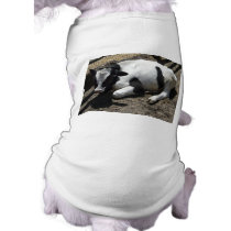 cow,baby pet clothing by pinkypetals cow,baby pet clothing
