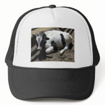 cow,baby trucker hat