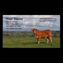Cow Business Card business cards