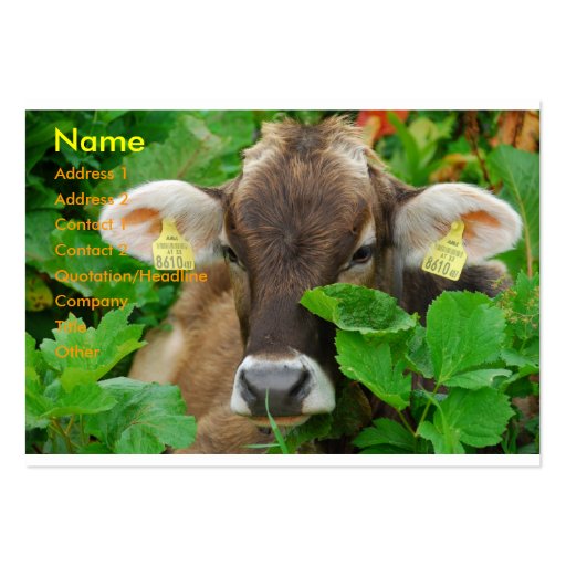 Cow Business Card (front side)