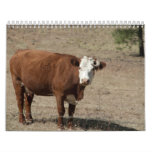 Cow calendar