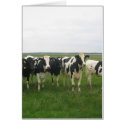 Cow cards