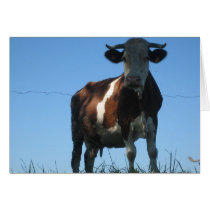 Cow Greeting Cards