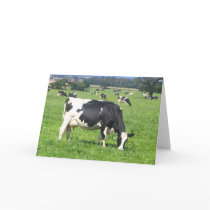 Cow cards by clarabellesbarn Cow cards