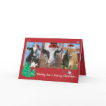 Cow/Cat Christmas Card 1.2