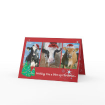 Cow Christmas Greeting Cards