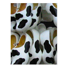 Cow clogs post cards