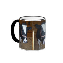 Cow Close Up Portrait mugs by thekingchivas Cow Close Up Portrait mugs
