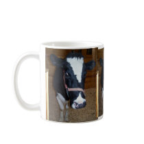 Cow Close Up Portrait mugs by thekingchivas Cow Close Up Portrait mugs
