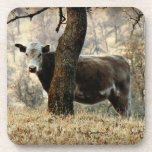 Cow Coasters cork coasters