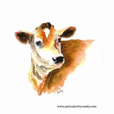 cow face photo sculpture by sandypolsky