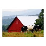 Cow Farm Landscape Print Cow Farm Landscape Print