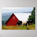 Cow Farm Landscape Print