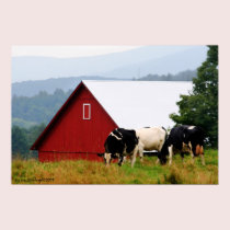 Cow Farm Landscape Print