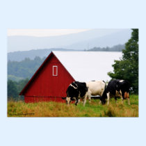 Cow Farm Landscape Print posters