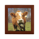 Cow Gift Box gift boxes