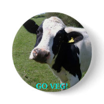 cow, GO VEG! Buttons