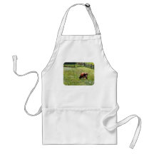 Cow Grazing in Pasture Apron