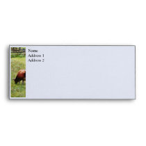 Cow Grazing in Pasture Envelopes