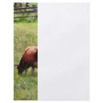 Cow Grazing in Pasture Custom Flyer