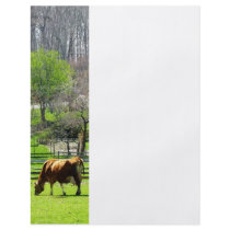 Cow Grazing in Pasture in Spring Flyers