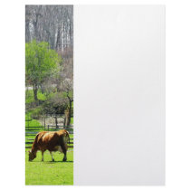 Cow Grazing in Pasture in Spring Letterhead Template