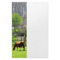 Cow Grazing in Pasture in Spring Stationery Paper