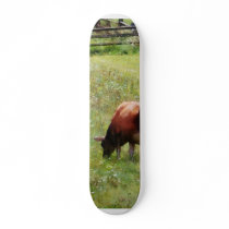 Cow Grazing in Pasture Skate Board