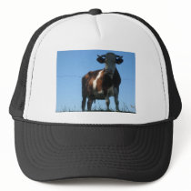 Cow Hat