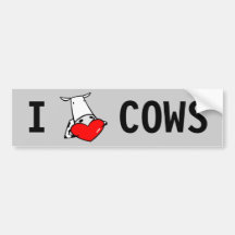 Cow Heart Valentine I Love Cows Bumper Stickers