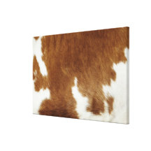 Cow hide gallery wrap canvas