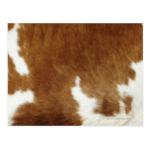 Cow hide postcards