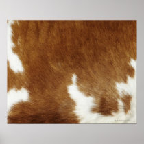 Cow hide print