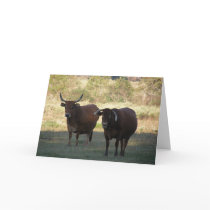 cow horns - get well cards