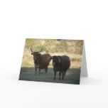 cow horns - get well cards
