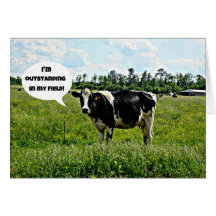 Cow Humor Card