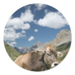 Cow in Pasture Sticker