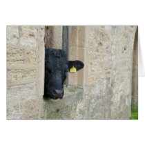 Cow looking out of the stone barn cards by photocatseyes Cow looking out of the stone barn cards