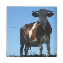 Cow Refrigerator Magnet