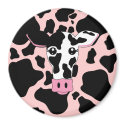 Cow magnets