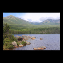Cow Moose and Mount Katahdin from Sandy Stream posters