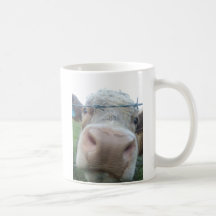 cow mug