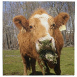 Cow  Napkins napkins