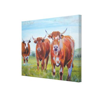 Cow Painting: 3 Ruby Red Devon Bulls zazzle_wrappedcanvas